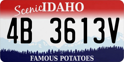 ID license plate 4B3613V