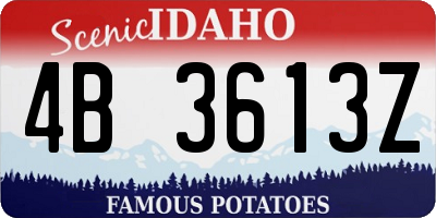 ID license plate 4B3613Z