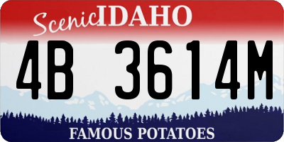 ID license plate 4B3614M