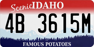 ID license plate 4B3615M