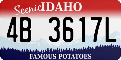 ID license plate 4B3617L