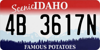 ID license plate 4B3617N