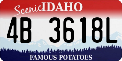 ID license plate 4B3618L