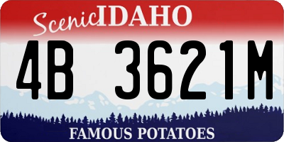ID license plate 4B3621M