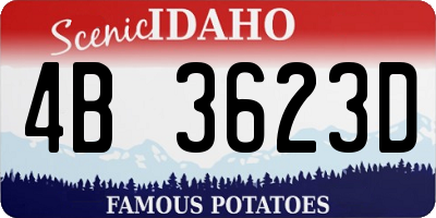 ID license plate 4B3623D