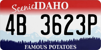 ID license plate 4B3623P