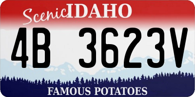 ID license plate 4B3623V
