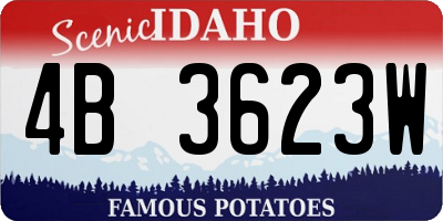 ID license plate 4B3623W