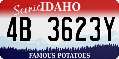 ID license plate 4B3623Y