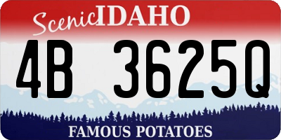 ID license plate 4B3625Q