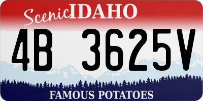 ID license plate 4B3625V