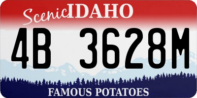 ID license plate 4B3628M