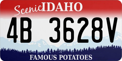 ID license plate 4B3628V