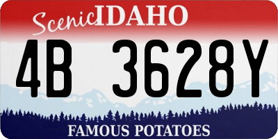 ID license plate 4B3628Y
