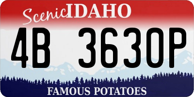ID license plate 4B3630P