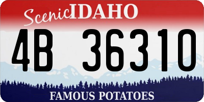 ID license plate 4B3631O
