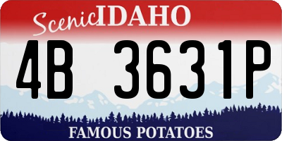 ID license plate 4B3631P