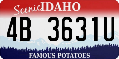 ID license plate 4B3631U