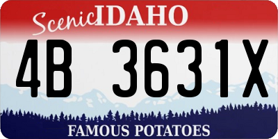 ID license plate 4B3631X