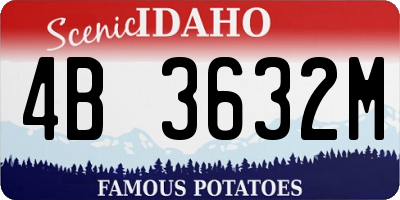 ID license plate 4B3632M