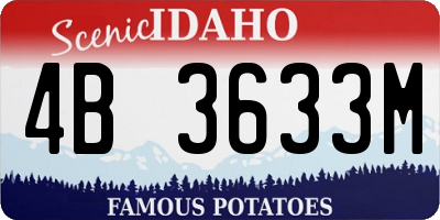ID license plate 4B3633M