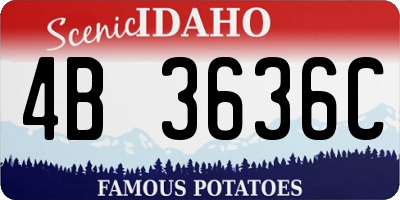 ID license plate 4B3636C