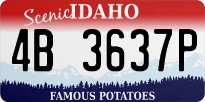ID license plate 4B3637P