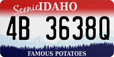 ID license plate 4B3638Q