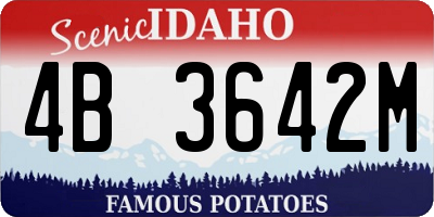 ID license plate 4B3642M