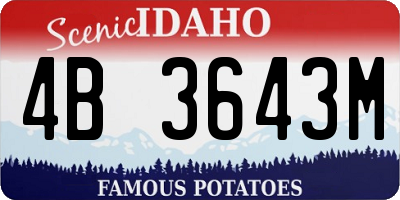 ID license plate 4B3643M