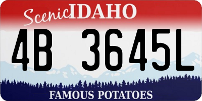 ID license plate 4B3645L