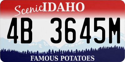 ID license plate 4B3645M