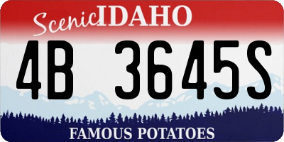 ID license plate 4B3645S