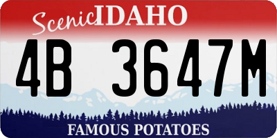 ID license plate 4B3647M