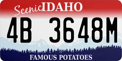 ID license plate 4B3648M