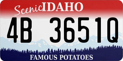 ID license plate 4B3651Q