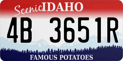 ID license plate 4B3651R