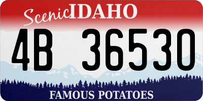 ID license plate 4B3653O