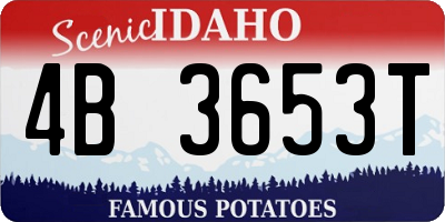 ID license plate 4B3653T