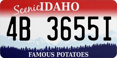 ID license plate 4B3655I