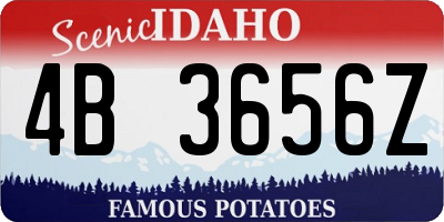 ID license plate 4B3656Z