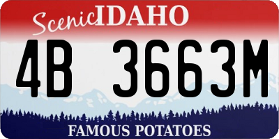 ID license plate 4B3663M