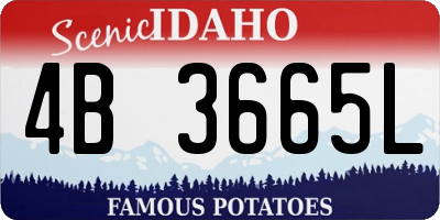 ID license plate 4B3665L