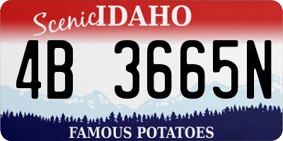 ID license plate 4B3665N