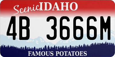 ID license plate 4B3666M