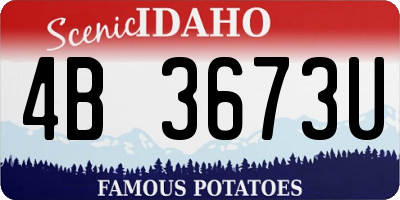 ID license plate 4B3673U