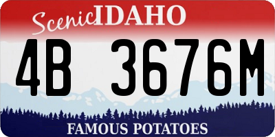 ID license plate 4B3676M