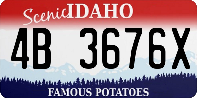 ID license plate 4B3676X