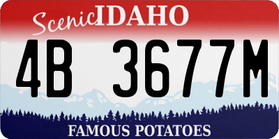 ID license plate 4B3677M