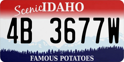 ID license plate 4B3677W